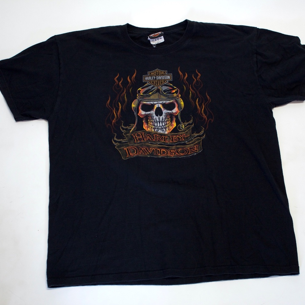Harley Davidson Flaming Skull Double Eagle Tee